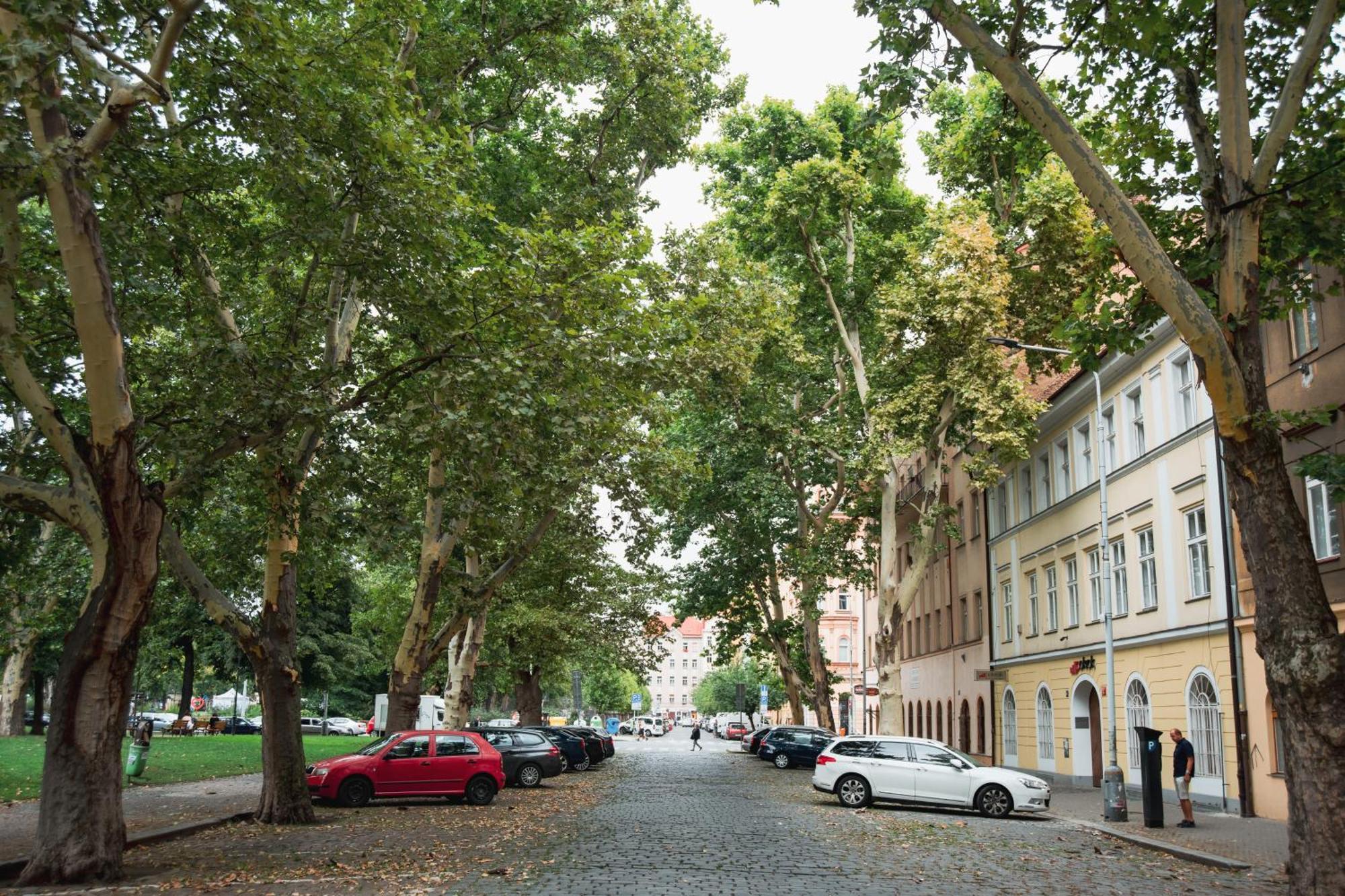 K-14 * Prag